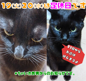 定休日のおしらせ！