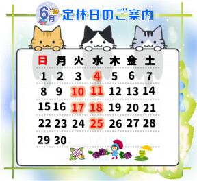 6月定休日のおしらせ！