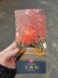 嵐山の紅葉！