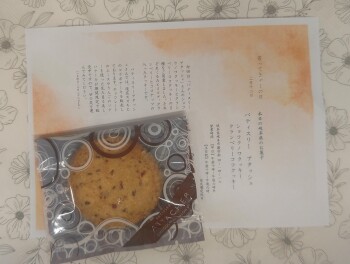 寄ってきゃーの日