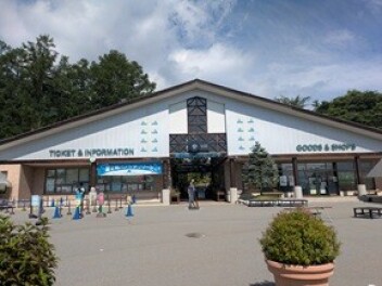 真夏のちょっとした軽登山