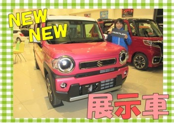 ＮＥＷ展示車！ショールーム模様替え☆