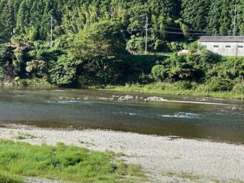 かわちゃんの休日　アユ釣り編