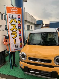 ハスラーの限定車