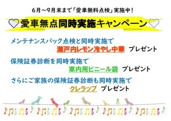 6/19土20日21月❤中古車広告展示会