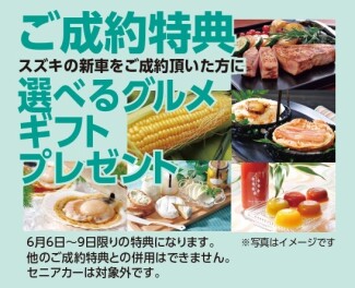スズキの日　大商談会(^^)/