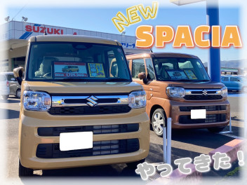 新型スペーシア試乗車ございます·˚.✱