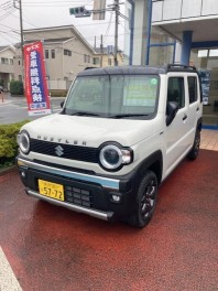 ハスラータフワイルド試乗出来ます！！