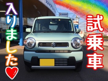 試乗車来ましたよ～！！