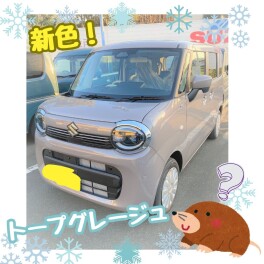 ☆ 見れる！ × スマイル × リニューアル！ ◇