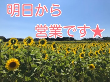 明日から元気に営業してます★