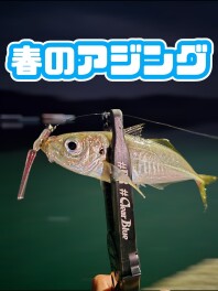 前原釣倶楽部『春のライトゲーム』