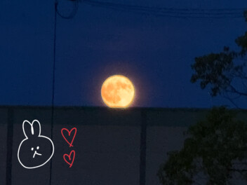 皆既月食☾