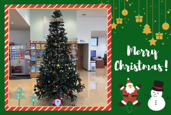 ２０２５年クリスマスツリー出しました☆