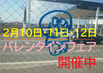 八女日記　「チョコ積み上げ大会！最高１６個！１０日・１１日・１２日バレンタインフェア」