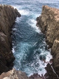 東尋坊に行きました