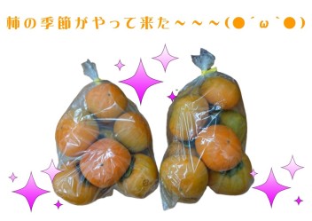 秋の果物( ^)o(^ )