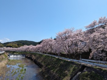 アリーナ和歌山西の週末展示会！！