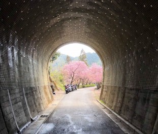 トンネルを抜けると・・・