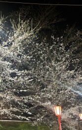 今年度もよろしくお願い致します！！