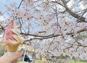 〇●４月の定休日＆ゴールデンウィーク休業のお知らせ●〇