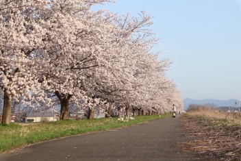 お出かけ日和です！