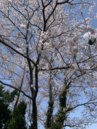 感謝の気持ち