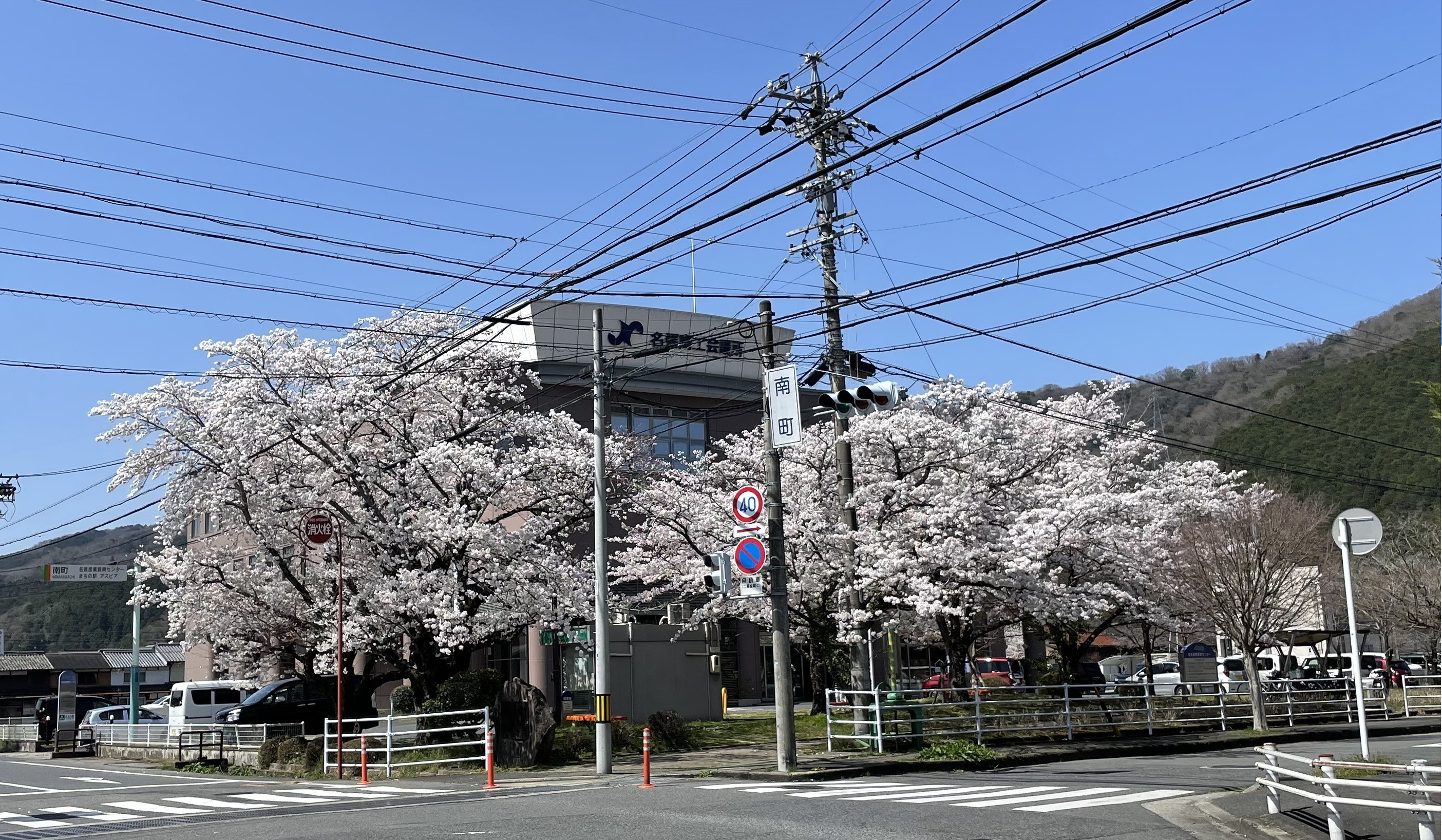 桜と名張商工会議所