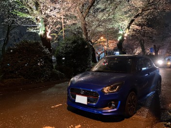 ＊満開の夜桜を見てきました＊