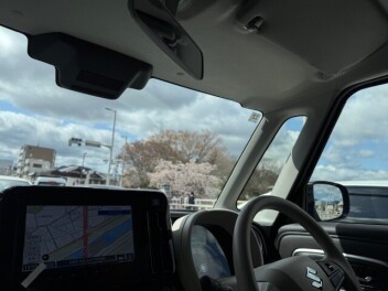 春はドライブ！しまった車が汚れる！