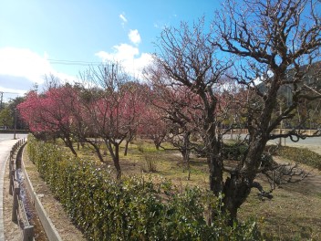 アリーナ西風新都店周辺オススメスポット