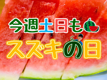 今週もスズキの日！