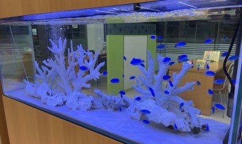 土岐店に水槽が来ました！