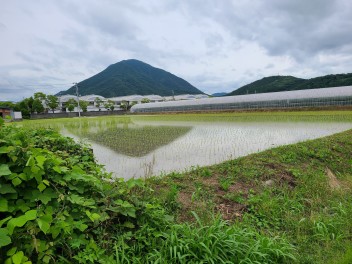 明日は定休日です