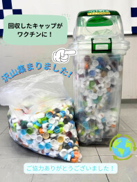 ペットボトルキャップ回収実績