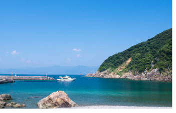 深島　ねこの楽園 ニャー