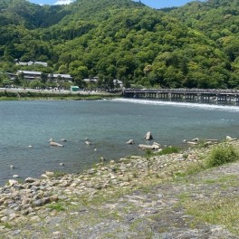 やまわきの京都旅