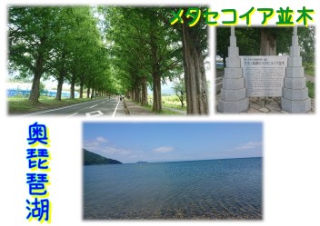 琵琶湖～（＾－＾）