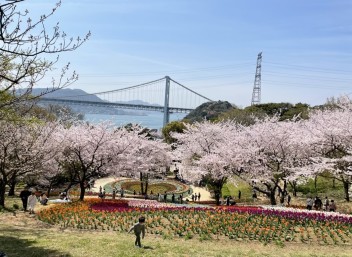 〇　4月のご来場プレゼント　〇