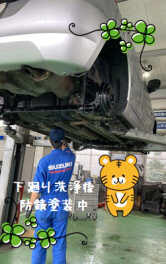 冬が近づいてきました(;´･ω･)