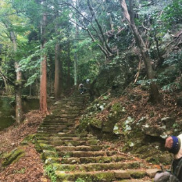 山登りの季節です。