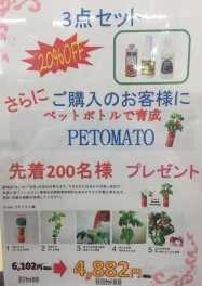 今なら　ＰＥＴＯＭＡＴＯ　プレゼント！！