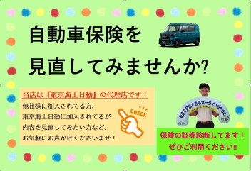 自動車保険を見直しませんか？( ﾟ▽ﾟ)