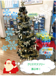 クリスマスツリー展示中！