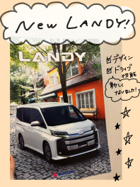 New LANDY!!