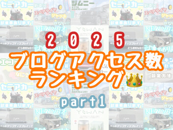 ２０２５年ブログアクセス数ランキング！