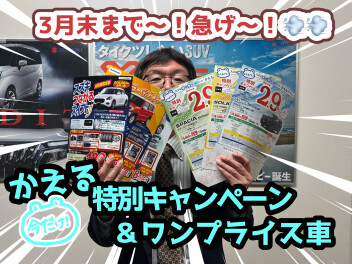 お得なワンプライス、かえる２．９％あります！！！
