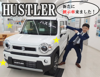 ＊新しく展示車入りました＊