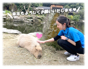 ゆく年くる年…(*‘ω‘ *)