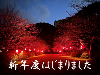 新年度スタートです♬